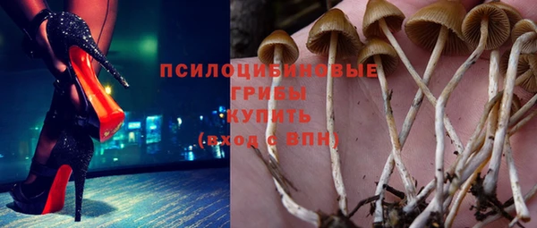 молекула духа Лихославль