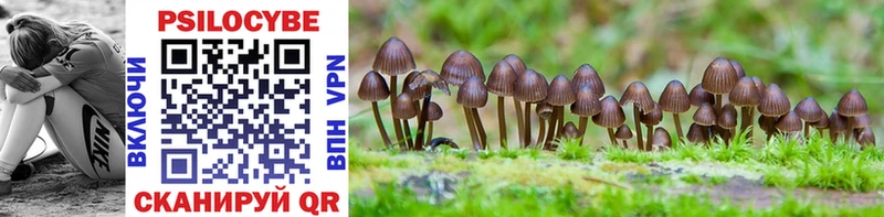 купить наркоту  блэк спрут ссылка  Галлюциногенные грибы GOLDEN TEACHER  Красноярск 