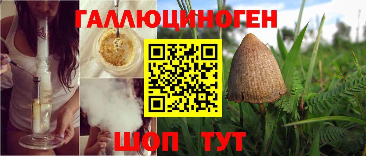 купить наркотик  Псилоцибиновые грибы ЛСД  Вход с VPN  Красноярск 